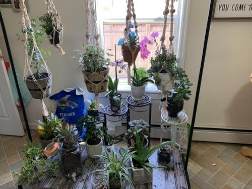 25 τρόποι να μετατρέψετε τις Κρεμάστρες Ρούχων και τα Βεστιάρια σε Μικρούς Κήπους Ιδανικά για Μπαλκόνι! 15 25 τρόποι να μετατρέψετε τις Κρεμάστρες Ρούχων και τα Βεστιάρια σε Μικρούς Κήπους Ιδανικά για Μπαλκόνι!