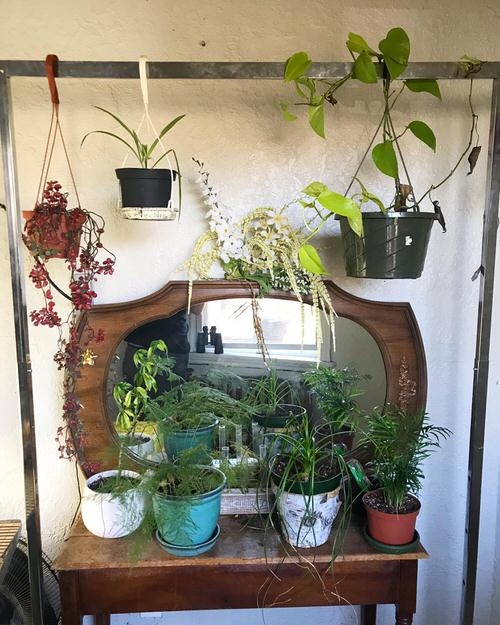 25 τρόποι να μετατρέψετε τις Κρεμάστρες Ρούχων και τα Βεστιάρια σε Μικρούς Κήπους Ιδανικά για Μπαλκόνι! 10 25 τρόποι να μετατρέψετε τις Κρεμάστρες Ρούχων και τα Βεστιάρια σε Μικρούς Κήπους Ιδανικά για Μπαλκόνι!