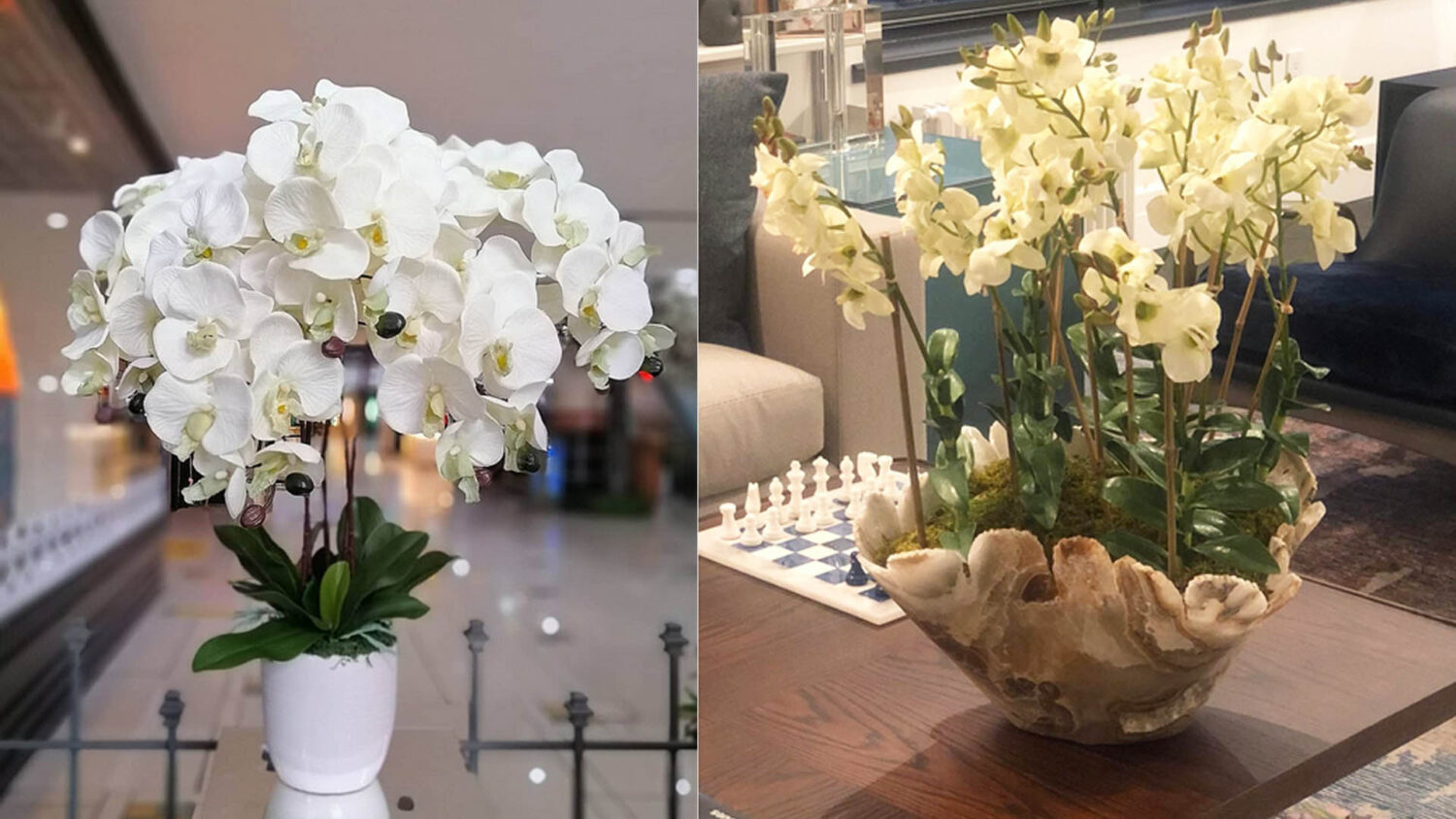 Τα λευκά λουλούδια του Instagram: Εντυπωσιάζουν και κλέβουν τις καρδιές