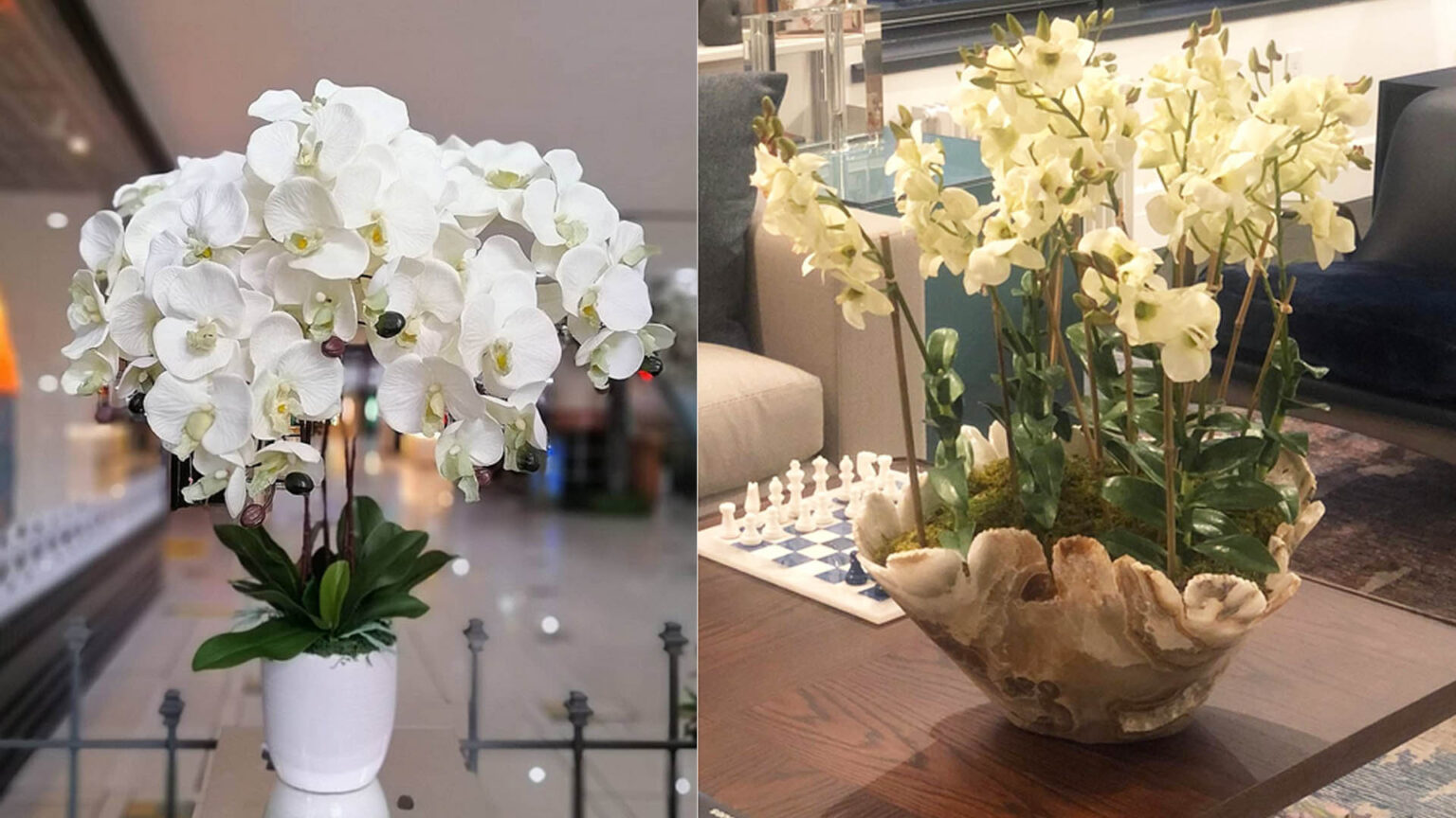 Τα λευκά λουλούδια του Instagram: Εντυπωσιάζουν και κλέβουν τις καρδιές