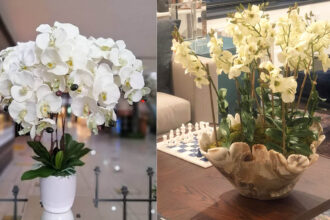 Τα λευκά λουλούδια του Instagram: Εντυπωσιάζουν και κλέβουν τις καρδιές