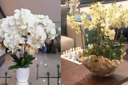 Τα λευκά λουλούδια του Instagram: Εντυπωσιάζουν και κλέβουν τις καρδιές