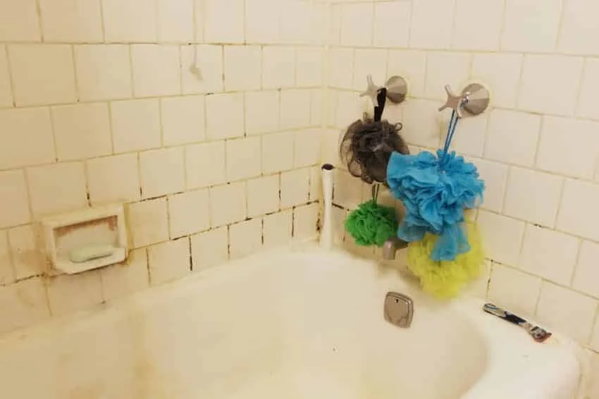 Αυτό το σφουγγάρι μπάνιου γεμίζει βακτήρια - Δες γιατί οι ειδικοί λένε να το αλλάξεις άμεσα 2 Αυτό το σφουγγάρι μπάνιου γεμίζει βακτήρια - Δες γιατί οι ειδικοί λένε να το αλλάξεις άμεσα