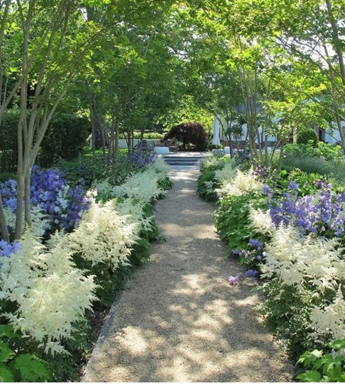 25 φυτά για παρτέρια και μονοπάτια που θα ανθίζουν ασταμάτητα από την Άνοιξη μέχρι το Φθινόπωρο 10 25 φυτά για παρτέρια και μονοπάτια που θα ανθίζουν ασταμάτητα από την Άνοιξη μέχρι το Φθινόπωρο