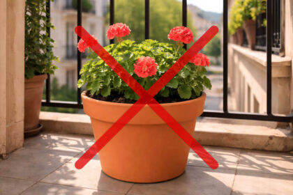 Τέλος οι κλασικές γλάστρες: Μάθε τι της αντικαθιστά το 2026 και είναι η απόλυτη αισθητική λύση