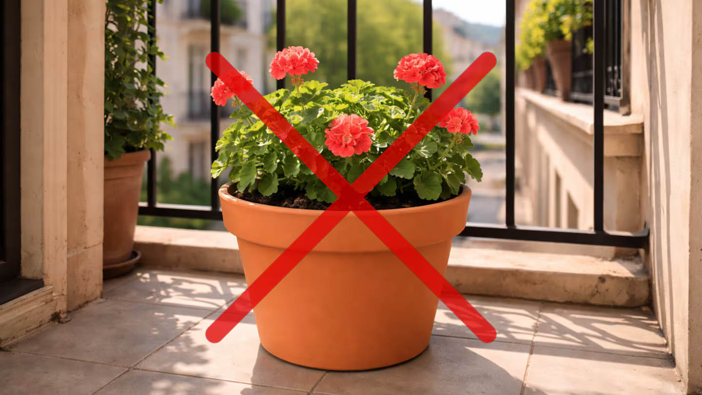 Τέλος οι κλασικές γλάστρες: Μάθε τι της αντικαθιστά το 2026 και είναι η απόλυτη αισθητική λύση