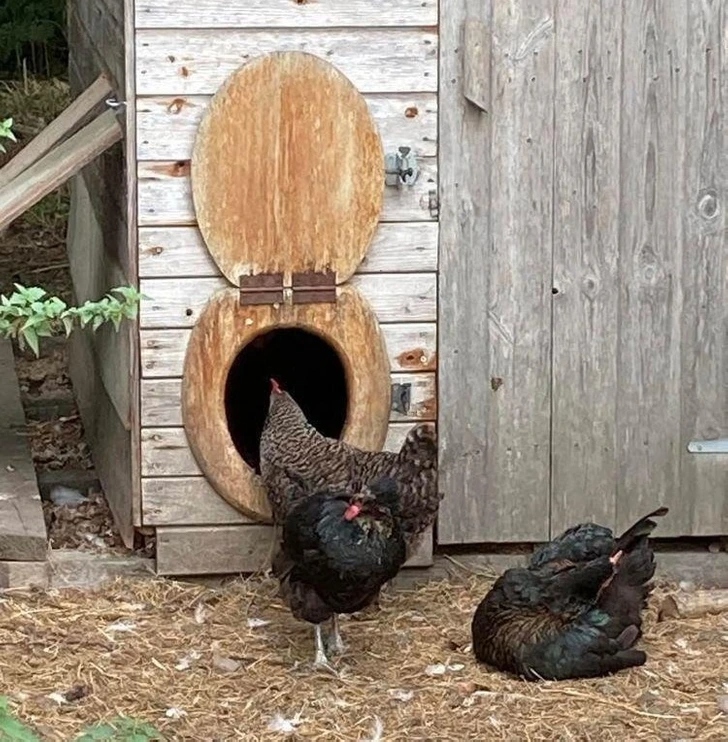 Από σκουπίδια σε μικρά αριστουργήματα: 16 απίστευτες μεταμορφώσεις 10 Από σκουπίδια σε μικρά αριστουργήματα: 16 απίστευτες μεταμορφώσεις