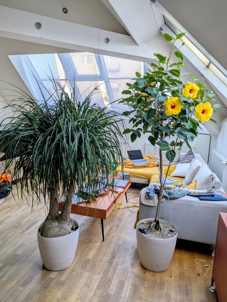 20+ σπίτια που μεταμορφώθηκαν σε πράσινη όαση: Μόλις δείτε το αποτέλεσμα θα θέλετε να το κάνετε κι εσείς 12 20+ σπίτια που μεταμορφώθηκαν σε πράσινη όαση: Μόλις δείτε το αποτέλεσμα θα θέλετε να το κάνετε κι εσείς