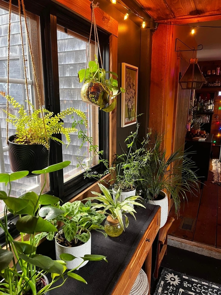 20+ σπίτια που μεταμορφώθηκαν σε πράσινη όαση: Μόλις δείτε το αποτέλεσμα θα θέλετε να το κάνετε κι εσείς 14 20+ σπίτια που μεταμορφώθηκαν σε πράσινη όαση: Μόλις δείτε το αποτέλεσμα θα θέλετε να το κάνετε κι εσείς