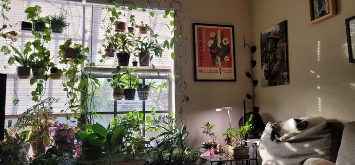 20+ σπίτια που μεταμορφώθηκαν σε πράσινη όαση: Μόλις δείτε το αποτέλεσμα θα θέλετε να το κάνετε κι εσείς 16 20+ σπίτια που μεταμορφώθηκαν σε πράσινη όαση: Μόλις δείτε το αποτέλεσμα θα θέλετε να το κάνετε κι εσείς