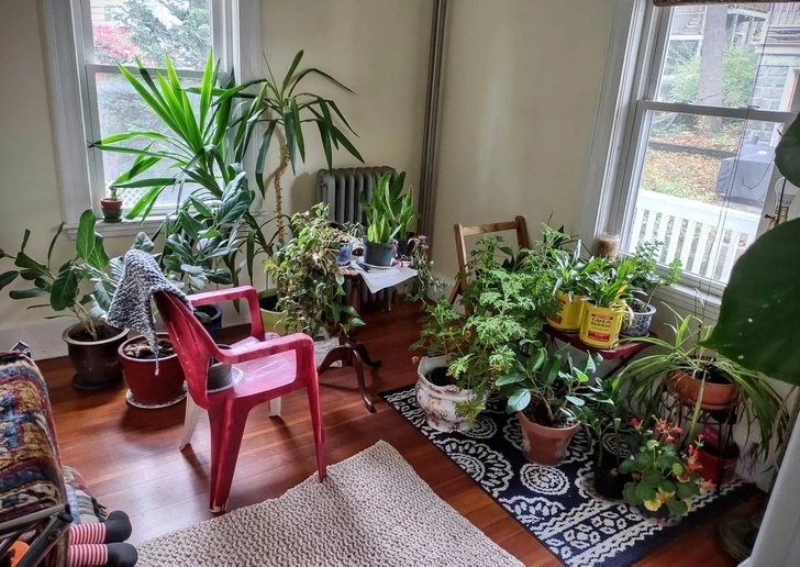 20+ σπίτια που μεταμορφώθηκαν σε πράσινη όαση: Μόλις δείτε το αποτέλεσμα θα θέλετε να το κάνετε κι εσείς 17 20+ σπίτια που μεταμορφώθηκαν σε πράσινη όαση: Μόλις δείτε το αποτέλεσμα θα θέλετε να το κάνετε κι εσείς