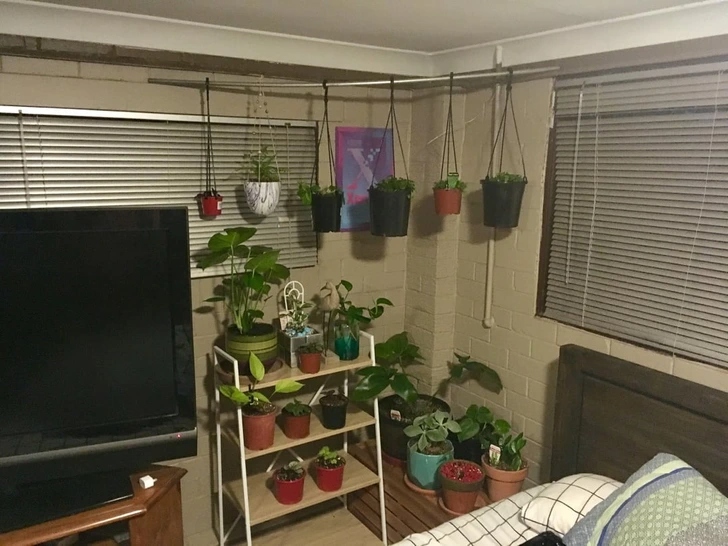 20+ σπίτια που μεταμορφώθηκαν σε πράσινη όαση: Μόλις δείτε το αποτέλεσμα θα θέλετε να το κάνετε κι εσείς 21 20+ σπίτια που μεταμορφώθηκαν σε πράσινη όαση: Μόλις δείτε το αποτέλεσμα θα θέλετε να το κάνετε κι εσείς