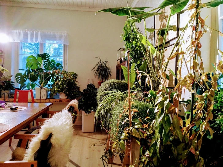 20+ σπίτια που μεταμορφώθηκαν σε πράσινη όαση: Μόλις δείτε το αποτέλεσμα θα θέλετε να το κάνετε κι εσείς 22 20+ σπίτια που μεταμορφώθηκαν σε πράσινη όαση: Μόλις δείτε το αποτέλεσμα θα θέλετε να το κάνετε κι εσείς