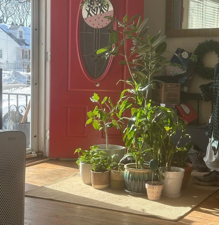 20+ σπίτια που μεταμορφώθηκαν σε πράσινη όαση: Μόλις δείτε το αποτέλεσμα θα θέλετε να το κάνετε κι εσείς 7 20+ σπίτια που μεταμορφώθηκαν σε πράσινη όαση: Μόλις δείτε το αποτέλεσμα θα θέλετε να το κάνετε κι εσείς