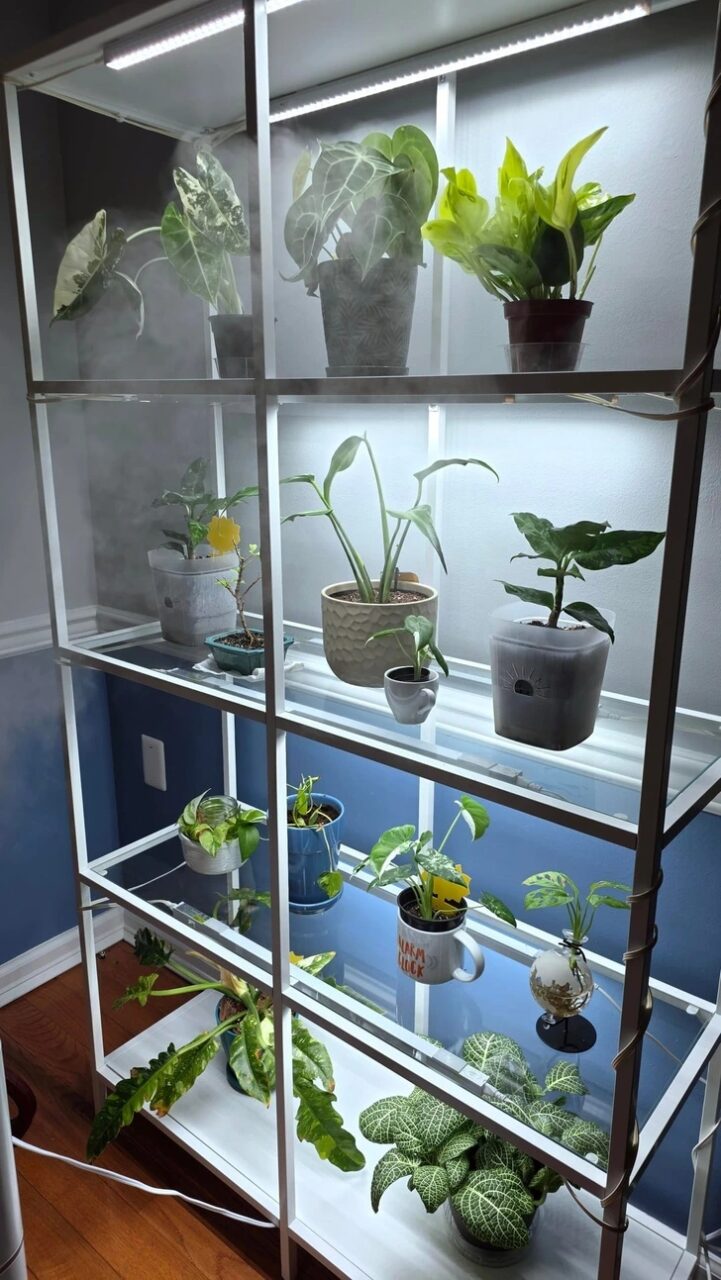 20+ σπίτια που μεταμορφώθηκαν σε πράσινη όαση: Μόλις δείτε το αποτέλεσμα θα θέλετε να το κάνετε κι εσείς 10 20+ σπίτια που μεταμορφώθηκαν σε πράσινη όαση: Μόλις δείτε το αποτέλεσμα θα θέλετε να το κάνετε κι εσείς