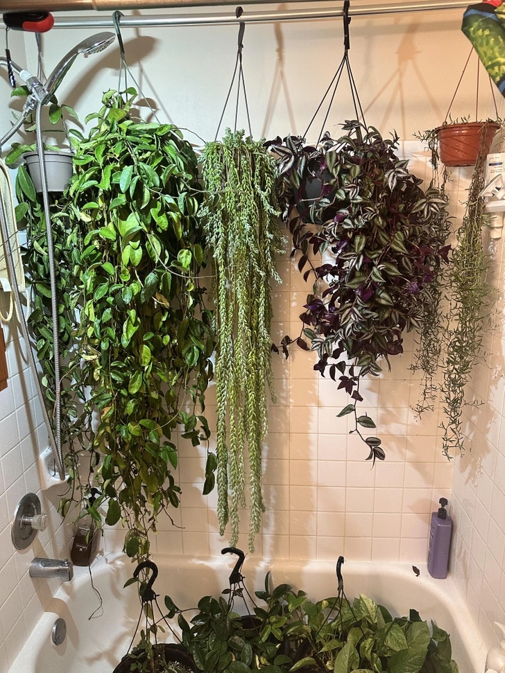 20+ σπίτια που μεταμορφώθηκαν σε πράσινη όαση: Μόλις δείτε το αποτέλεσμα θα θέλετε να το κάνετε κι εσείς 11 20+ σπίτια που μεταμορφώθηκαν σε πράσινη όαση: Μόλις δείτε το αποτέλεσμα θα θέλετε να το κάνετε κι εσείς