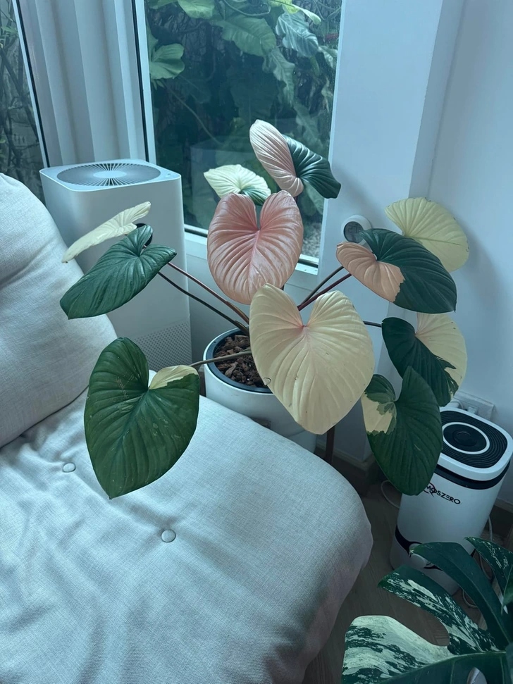 20+ σπίτια που μεταμορφώθηκαν σε πράσινη όαση: Μόλις δείτε το αποτέλεσμα θα θέλετε να το κάνετε κι εσείς 2 20+ σπίτια που μεταμορφώθηκαν σε πράσινη όαση: Μόλις δείτε το αποτέλεσμα θα θέλετε να το κάνετε κι εσείς