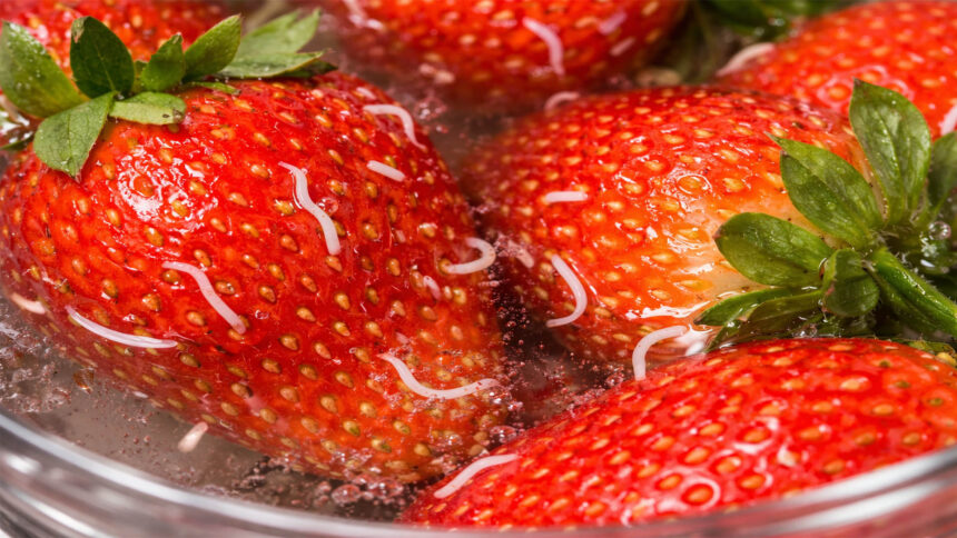 σκουλήκια σε φράουλες με αλατόνερο