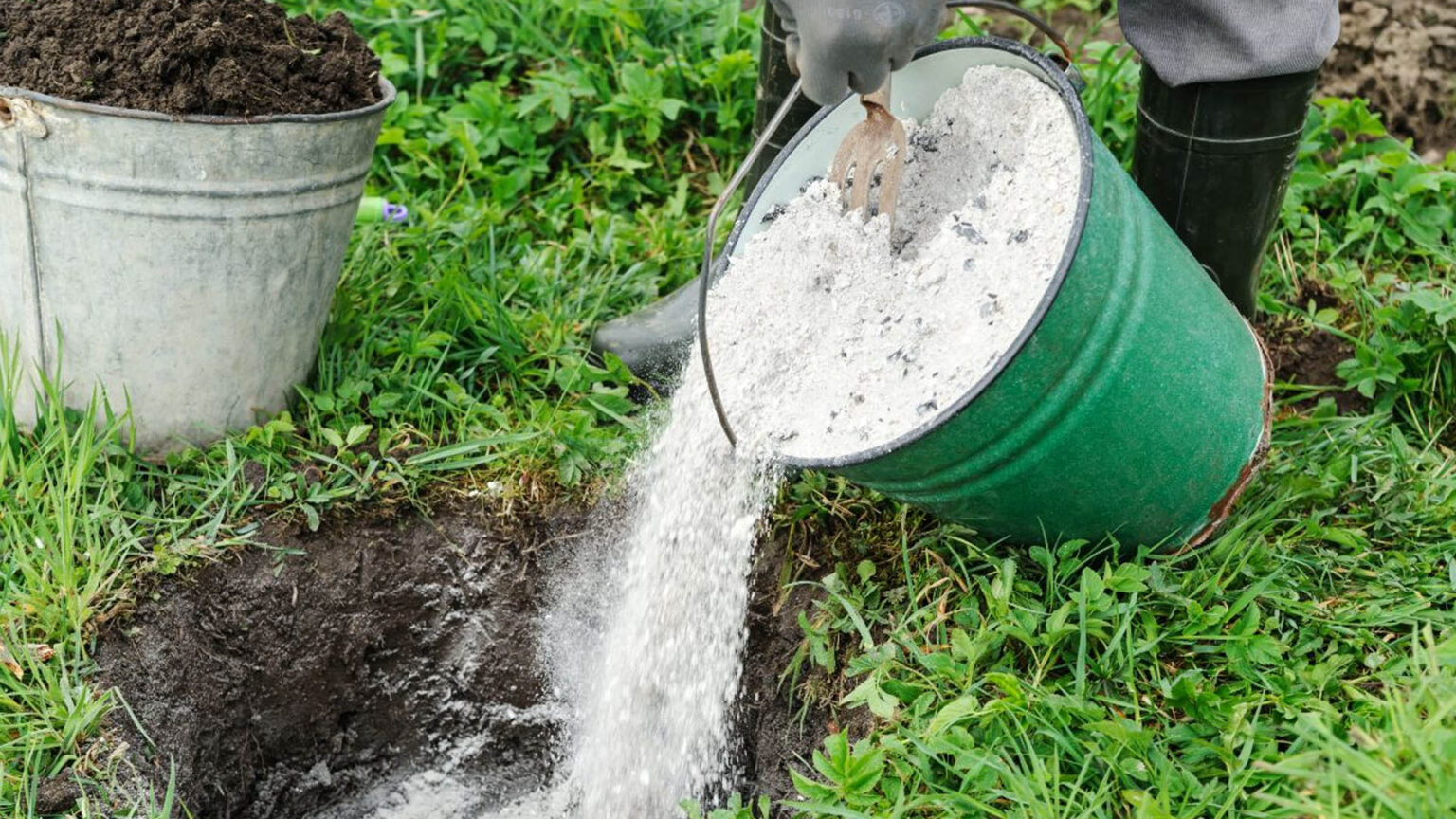 Στάχτη στον κήπο