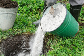 Στάχτη στον κήπο