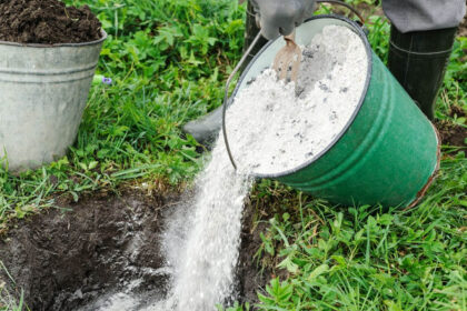 Στάχτη στον κήπο