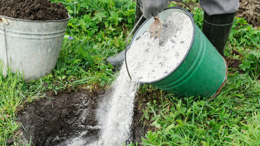 Στάχτη στον κήπο