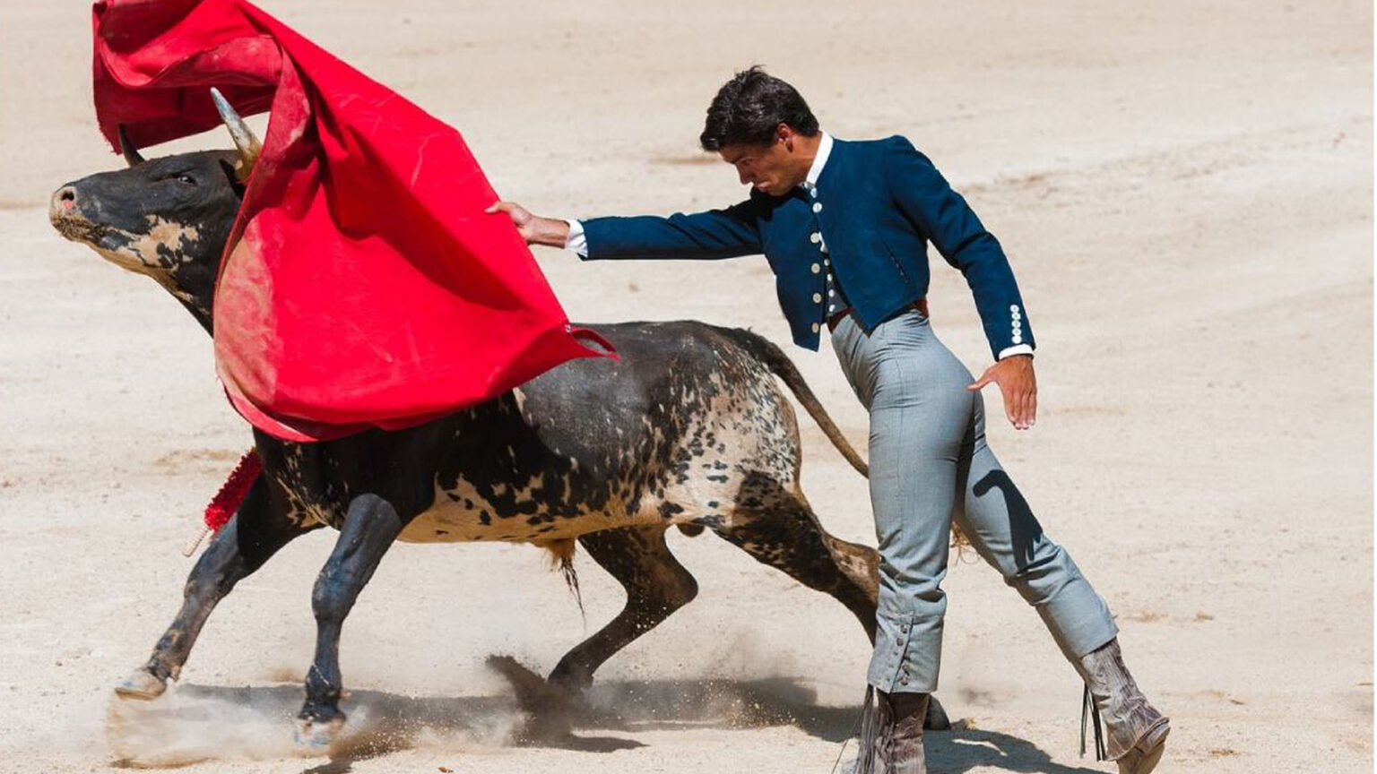Τελικά οι ταύροι θυμώνουν με το κόκκινο; Η αλήθεια πίσω από τον πιο γνωστό μύθο