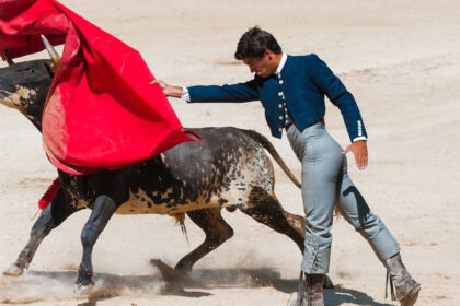 Τελικά οι ταύροι θυμώνουν με το κόκκινο; Η αλήθεια πίσω από τον πιο γνωστό μύθο