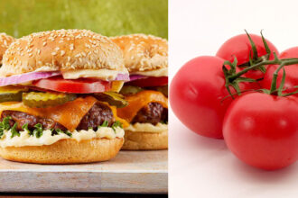 Φυτέψτε μια φέτα ντομάτας από φαστ φουντ και δείτε τι θα συμβεί - Το πείραμα που άφησε πολλούς άφωνους