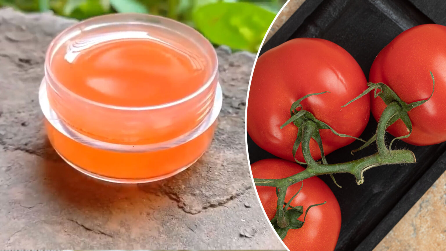 Τζελ Ντομάτας: Η φυσική σπιτική λύση για λαμπερό δέρμα για να γίνεις φρέσκια σαν λουλούδι