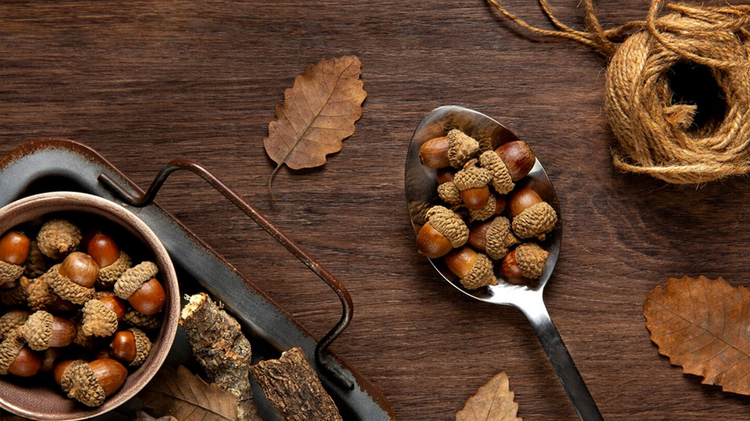 Τρώγονται τα βελανίδια; Ο σωστός τρόπος για να τα φάτε με ασφάλεια