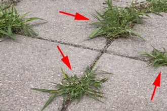 Σταματήστε να ξεριζώνετε ζιζάνια στην αυλή: 5 απλά κόλπα για να μην ξαναβγούν