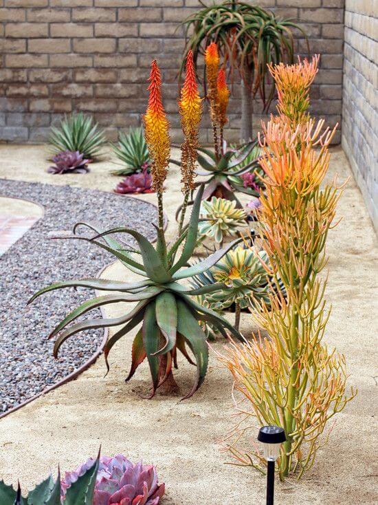 Μην βάζεις μόνο χώμα στον κήπο - η άμμος κάνει θαύματα + 14 ιδέες 10 Μην βάζεις μόνο χώμα στον κήπο - η άμμος κάνει θαύματα + 14 ιδέες