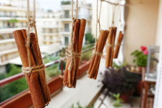 Κρεμάστε ξυλάκια κανέλας στο μπαλκόνι: Γιατί το προτείνουν και πότε να το κάνετε