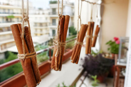 Κρεμάστε ξυλάκια κανέλας στο μπαλκόνι: Γιατί το προτείνουν και πότε να το κάνετε