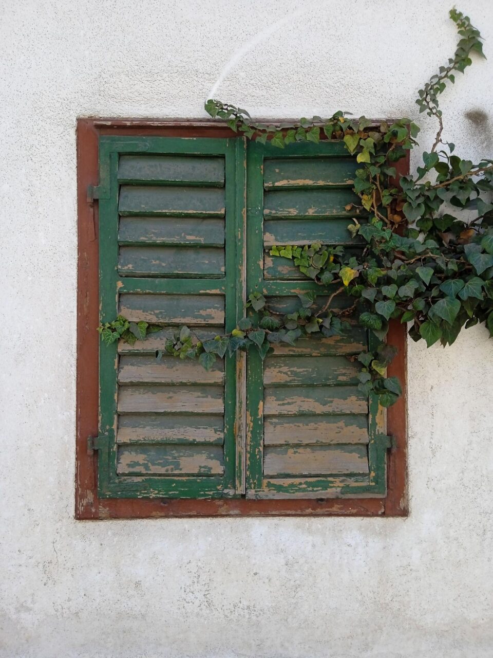 Πριν πετάξεις τα παλιά παντζούρια, δες τι μπορείς να φτιάξεις - 23+1 ιδέες που θα σε ενθουσιάσουν 10 Ιδέες για παλιά παντζούρια