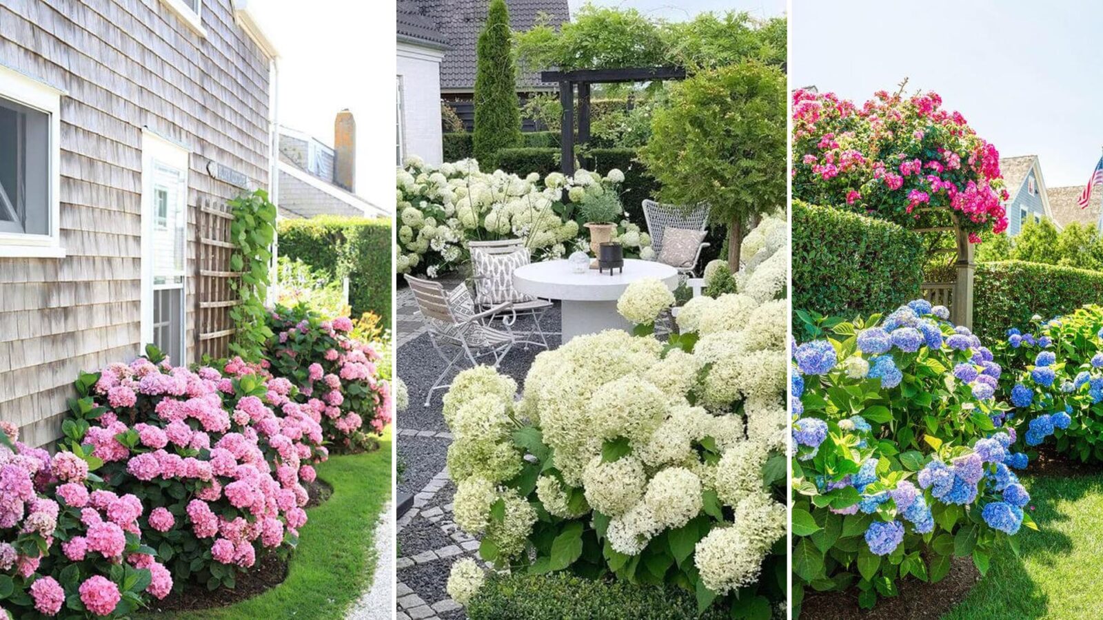 41 ονειρεμένοι κήποι με ορτανσίες για να μεταμορφώσεις τον εξωτερικό σου χώρο