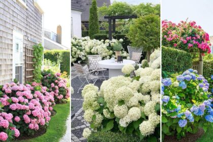 41 ονειρεμένοι κήποι με ορτανσίες για να μεταμορφώσεις τον εξωτερικό σου χώρο