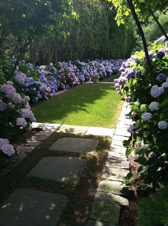41 ονειρεμένοι κήποι με ορτανσίες για να μεταμορφώσεις τον εξωτερικό σου χώρο 19 41 ονειρεμένοι κήποι με ορτανσίες για να μεταμορφώσεις τον εξωτερικό σου χώρο