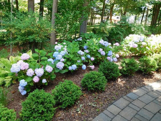 41 ονειρεμένοι κήποι με ορτανσίες για να μεταμορφώσεις τον εξωτερικό σου χώρο 21 41 ονειρεμένοι κήποι με ορτανσίες για να μεταμορφώσεις τον εξωτερικό σου χώρο