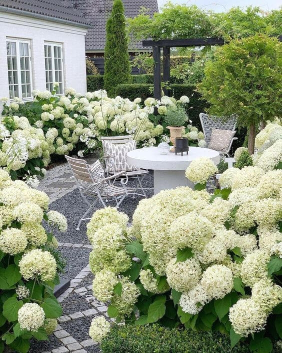 41 ονειρεμένοι κήποι με ορτανσίες για να μεταμορφώσεις τον εξωτερικό σου χώρο 4 41 ονειρεμένοι κήποι με ορτανσίες για να μεταμορφώσεις τον εξωτερικό σου χώρο
