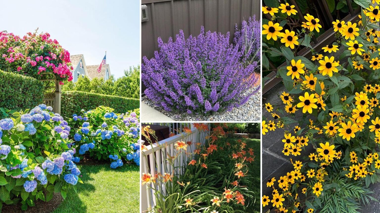 Τα φυτεύεις μια φορά και ανθίζουν για χρόνια: 10 φυτά που μεγαλώνουν μόνα τους ξανά και ξανά