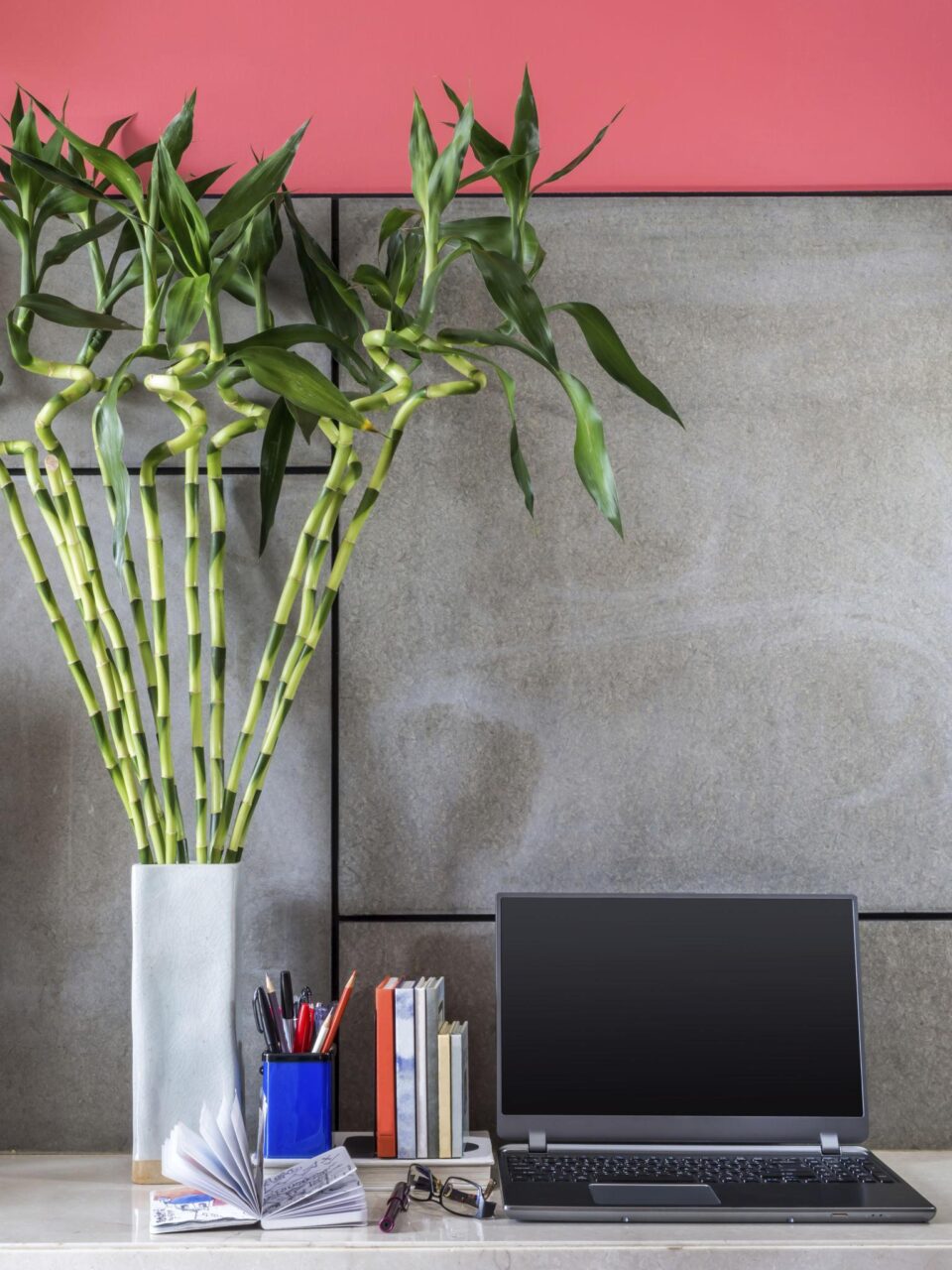 Φενγκ Σούι: Τα 5 σημεία στο σπίτι που ενεργοποιούν το τυχερό μπαμπού και φέρνουν αφθονία 3 Φενγκ Σούι: Τα 5 σημεία στο σπίτι που ενεργοποιούν το τυχερό μπαμπού και φέρνουν αφθονία