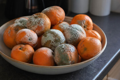 Μην πετάς τα μανταρίνια με μούχλα: το απλό κόλπο για να διώξεις τα μυρμήγκια από το σπίτι