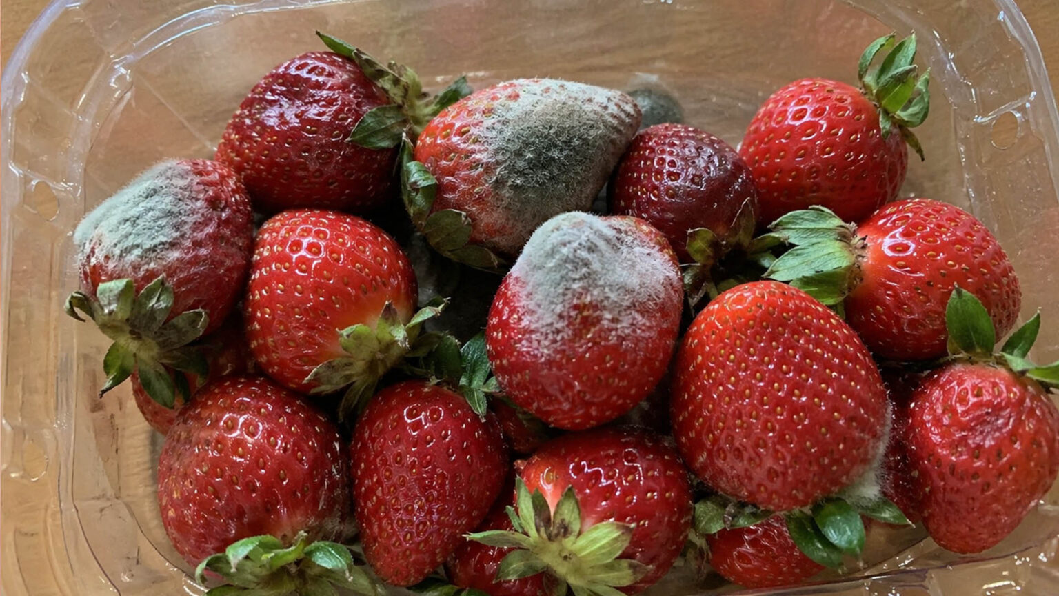 Γιατί μουχλιάζουν τόσο γρήγορα οι φράουλες; Το λάθος που κάνεις και τις χαλάει πριν προλάβεις να τις φας