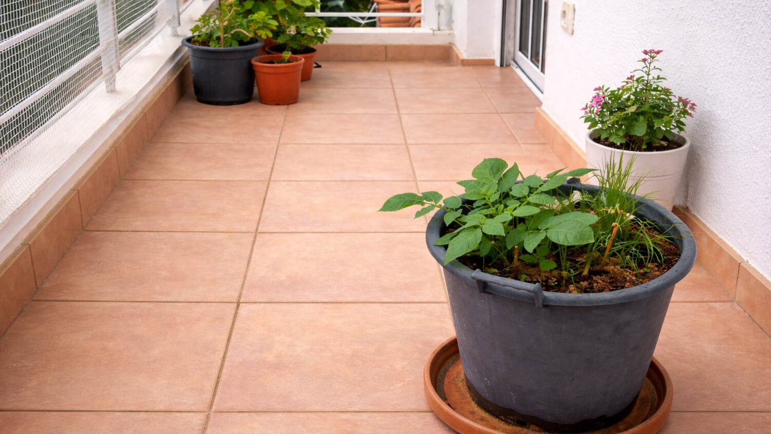 Πλακάκια τερακότα: Πού ταιριάζουν, πώς τα συνδυάζεις και πώς τα συντηρείς
