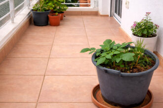 Πλακάκια τερακότα: Πού ταιριάζουν, πώς τα συνδυάζεις και πώς τα συντηρείς