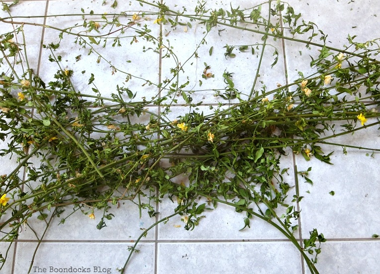 Πρωτομαγιάτικο στεφάνι κατασκευή: Πώς θα φτιάξεις το δικό σου για να υποδεχτείς την Άνοιξη 3 Πώς να φτιάξεις πρωτομαγιάτικο στεφάνι