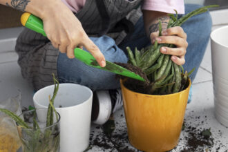 Κηπουρική στις διακοπές του Πάσχα: Τι να κάνεις τον Απρίλιο στο μπαλκόνι