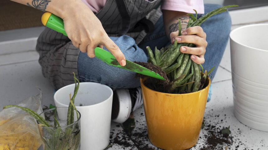Κηπουρική στις διακοπές του Πάσχα: Τι να κάνεις τον Απρίλιο στο μπαλκόνι